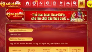 Thể thao hoàn thua 100% cho lần chơi đầu thua cược tại Sodo66